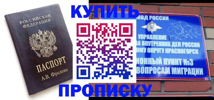 прописка поиск в Касимове